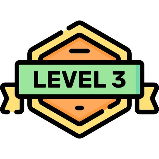 Level 3
